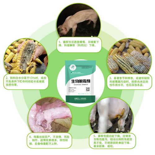 脱霉剂誉科兽用生物猪用霉变母猪牛羊玉米饲料饲料添加剂